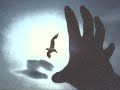 DORMI AMORE (la situazione non è buona) - Adriano Celentano DORMI AMORE (la situazione non è buona) - Adriano Celentano
