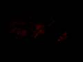 videos de Spam Six - Symphony of Destruction (cover)