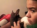 crying chihuaha