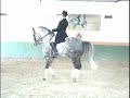 P.S.LUSITANO PIRUETA PIAFFE
