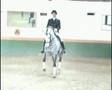 P.S.LUSITANO PIRUETA PIAFFE