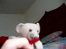 beary lol