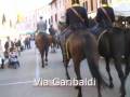 Fiera di Cavalli 2008