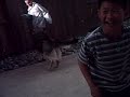 Ricardo getting attacked by Brians dog