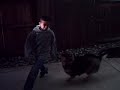 Ricardo getting attacked by Brians dog
