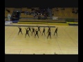 STG JSM 2008 final STG JSM 2008 final