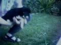 Pups-YinYang-2004