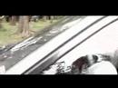 mv visions test