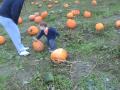 Caden at the Pumpkin Patch