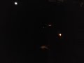 Firework