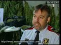 TN - Intervinguts 115 kilograms de marihuana Manele-Gratis.net