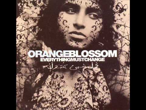 Orange Blossom - Désert dub (trip hop)