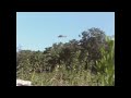● UFO ESTONIA, FLYING SAUCER, OVNI, UFO Estland, ufo extraterrestrial, ufos, extraterrestres