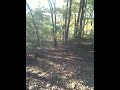Almost Fail