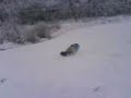 Sledding mad air