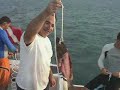 Goliath Grouper Encounter