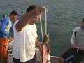 Goliath Grouper Encounter