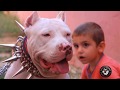 Ofy Pitbull Türkiye (grup şarkısı) Full Hd