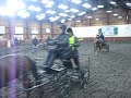 Indoor Merrist Wood Indoor Merrist Wood