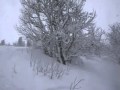 Glahelg i Uvdal 16 - 17 januar. 