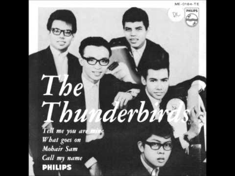 The Thunderbirds – My Lonely Heart