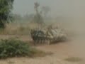 M113 road crossing