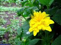 [Bangla Hamd/Naat] Khuda Tumar Maherbani mp3