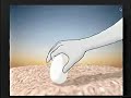 Chicken Movie Chicken Movie