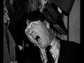 Violent Stooges