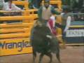 NFR Bull Riding (2007)