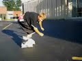 skateboarding 222