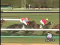 070114中山11R京成杯(G3) サンツェッペリン