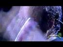 Metallica - Fade to Black, Bonnaroo 2008 (HQ)