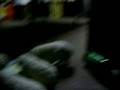 videos de MOV09200.AVI