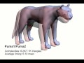 Interactive Hausdorff Distance Computation for General Polygonal Models