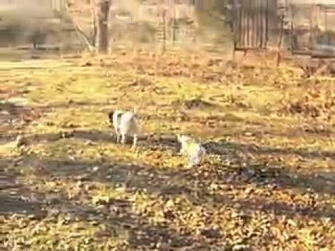 little red playing with her mommy