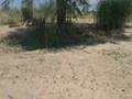 Community Based Adaptation to Climate Change in Malawi