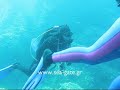 wreck-dive-naxos.html