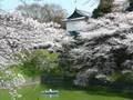 Mostly Japanese Temples and Landscapes