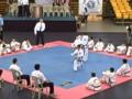 IX COPA PANAMERICANA DE TKD EN YAUCO PUERTO RICO
