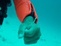 Garden Eel Caught! Garden Eel Caught!