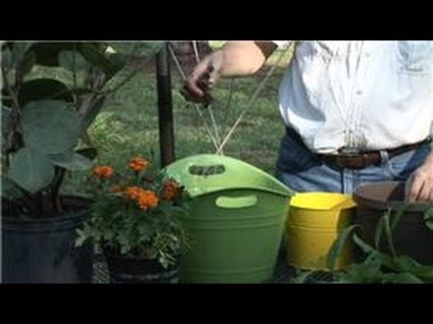 how to fertilize herb garden