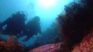 PADI Enriched Air Diver NITROX