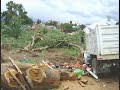 CHEDRAUI ATENTA CONTRA OAXACA