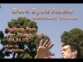 Ballitically Correct - contact juggling
