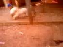 flly doiiiid�ao !