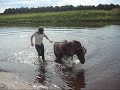here is a new video of gompie