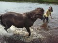 here is a new video of gompie