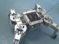 Roller Walker Robot in Tokyo Japan