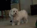 Tuffy Is Madly in Love